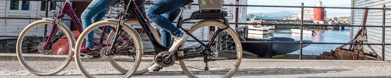 Tiefeinsteiger-E-Bike-Trekkingrad-2025 Tiefeinsteiger-E-Bike-Trekkingrad-2025