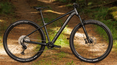 You can see a black Cube mountain bike standing on a forest path.
