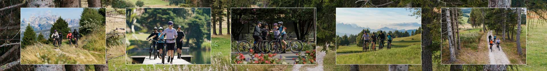 Cube-MTB-Hardtail-2025 Cube-MTB-Hardtail-2025