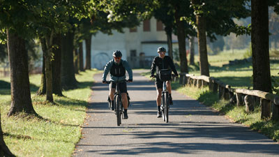 A couple is riding their bikes down an avenue.