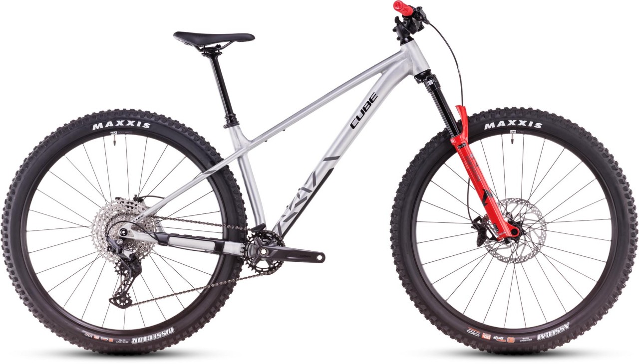 Cube Reaction TM Pro rawmetal n reflect 2025 - Hardtail Mountainbike