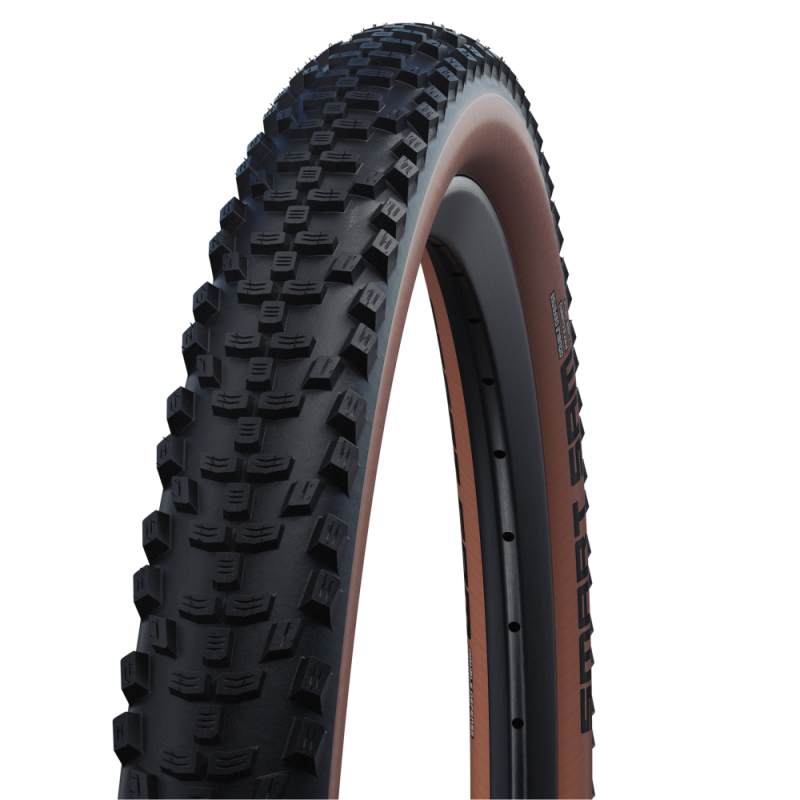 Schwalbe Smart Sam DD RaceGuard 29x2.60